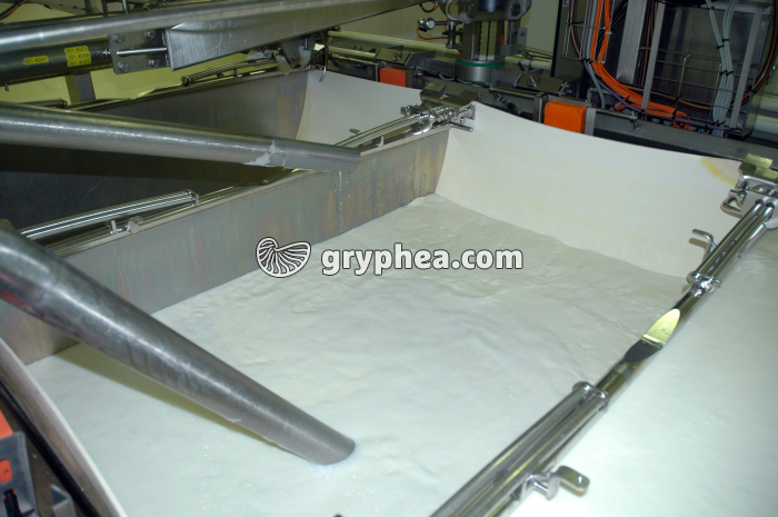 Fabrication du fromage - Remplissage des cuves avec le lait - gryphea.com